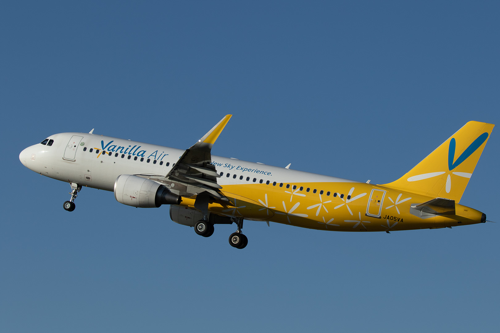 飛行機 （伊丹スカイパーク）_a0003166_23012220.jpg