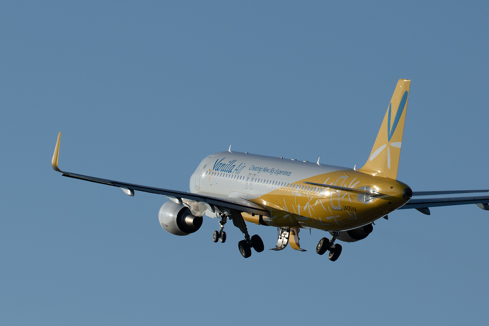 飛行機 （伊丹スカイパーク）_a0003166_23012230.jpg