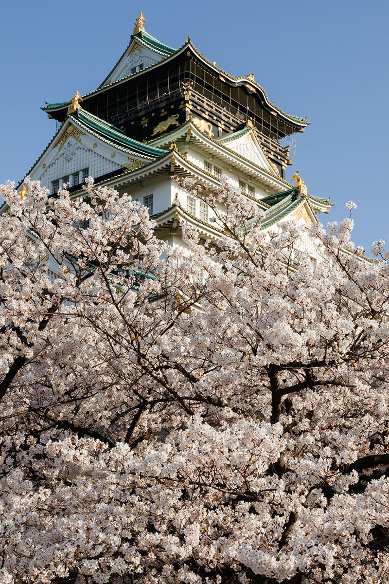 大阪城_a0003166_23012901.jpg