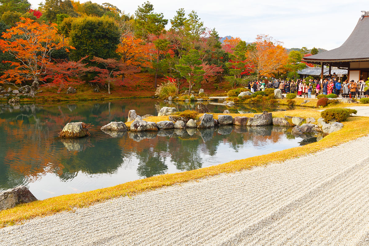 京都の紅葉、ライトアップ （青蓮院門跡、嵐山）_a0003166_230238.jpg