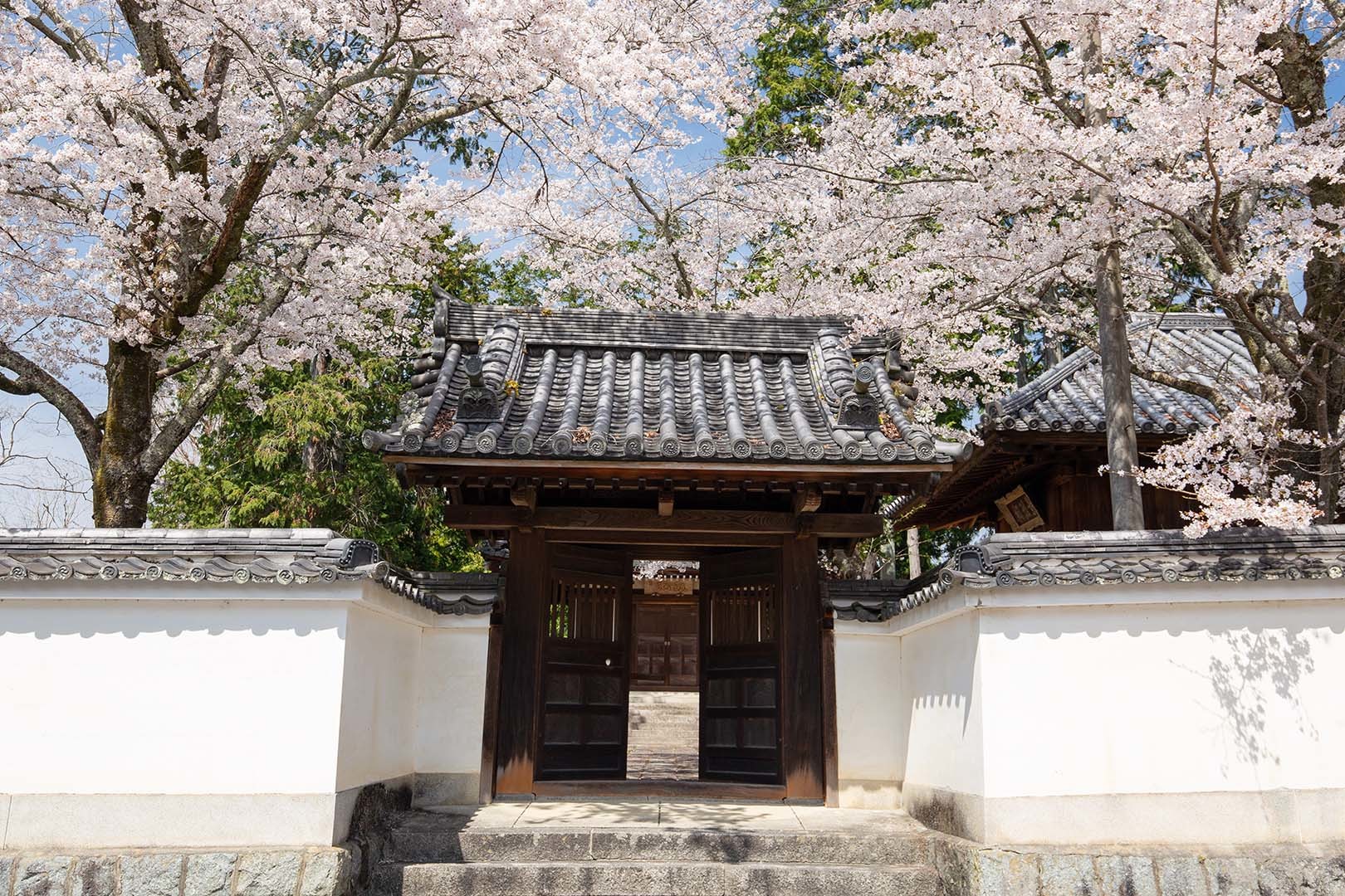 南禅寺 桜_a0003166_23025486.jpg