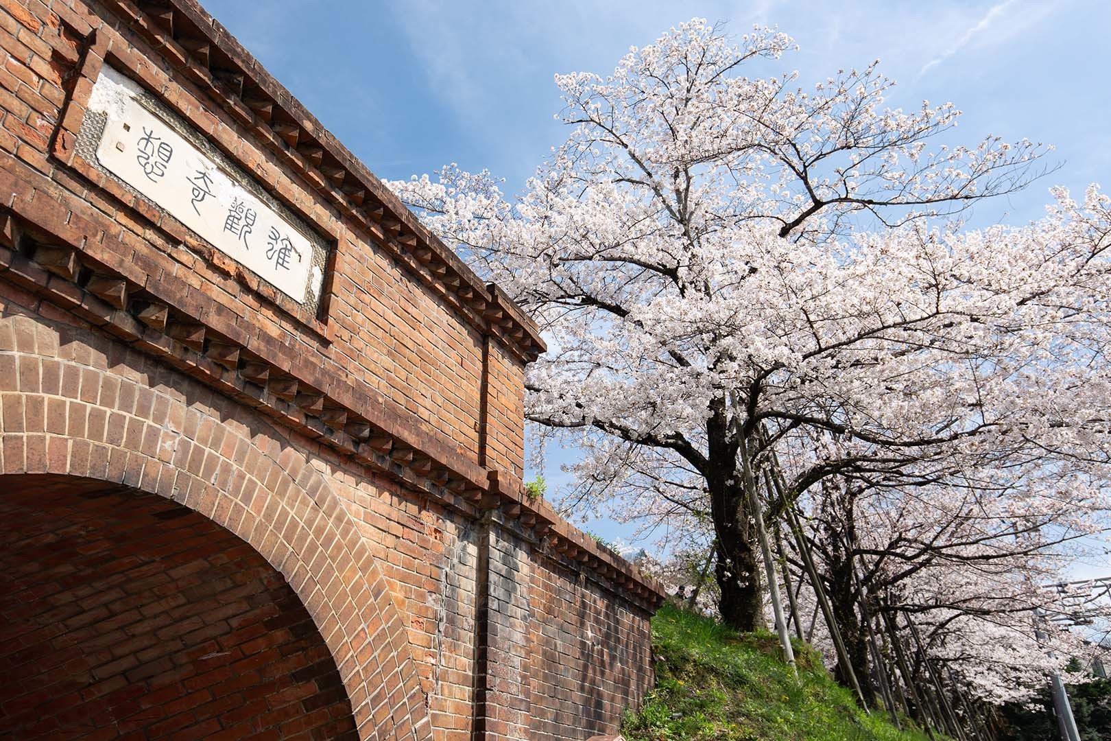蹴上 桜_a0003166_23033839.jpg