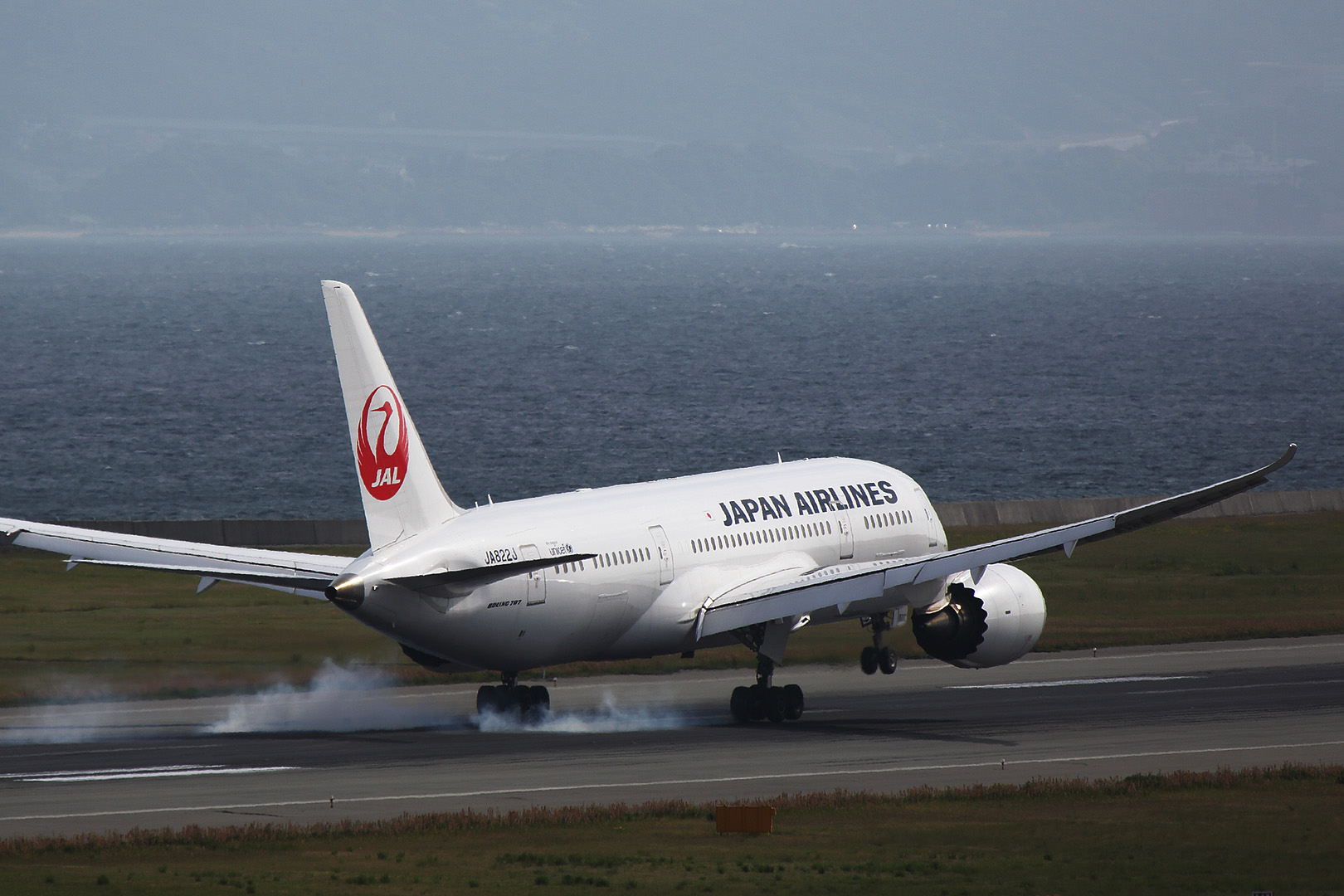 Ｂ７８７　（関空　５／６）_a0003166_2303461.jpg
