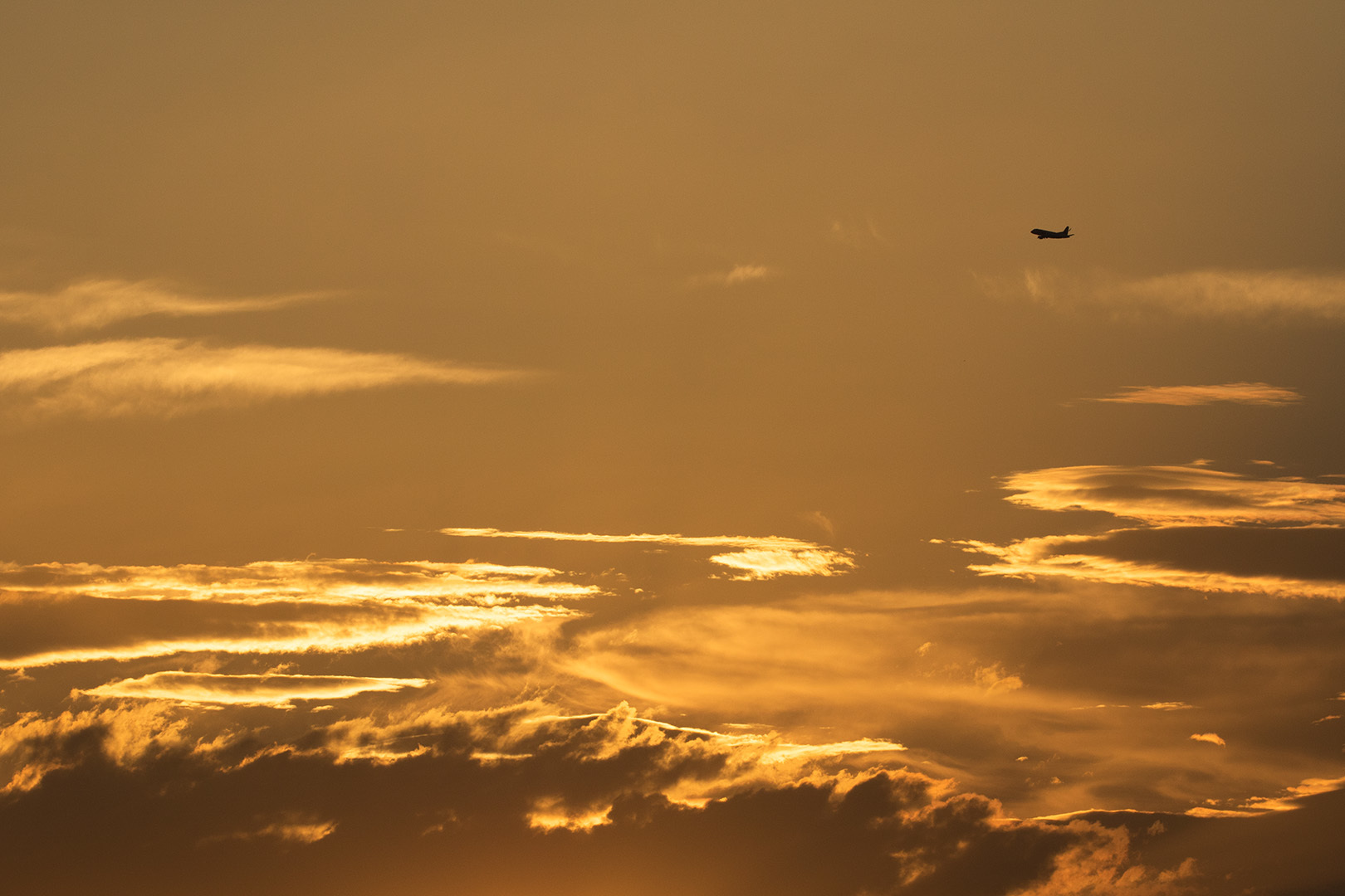 飛行機 夕焼け（大阪空港 千里川）_a0003166_23043024.jpg