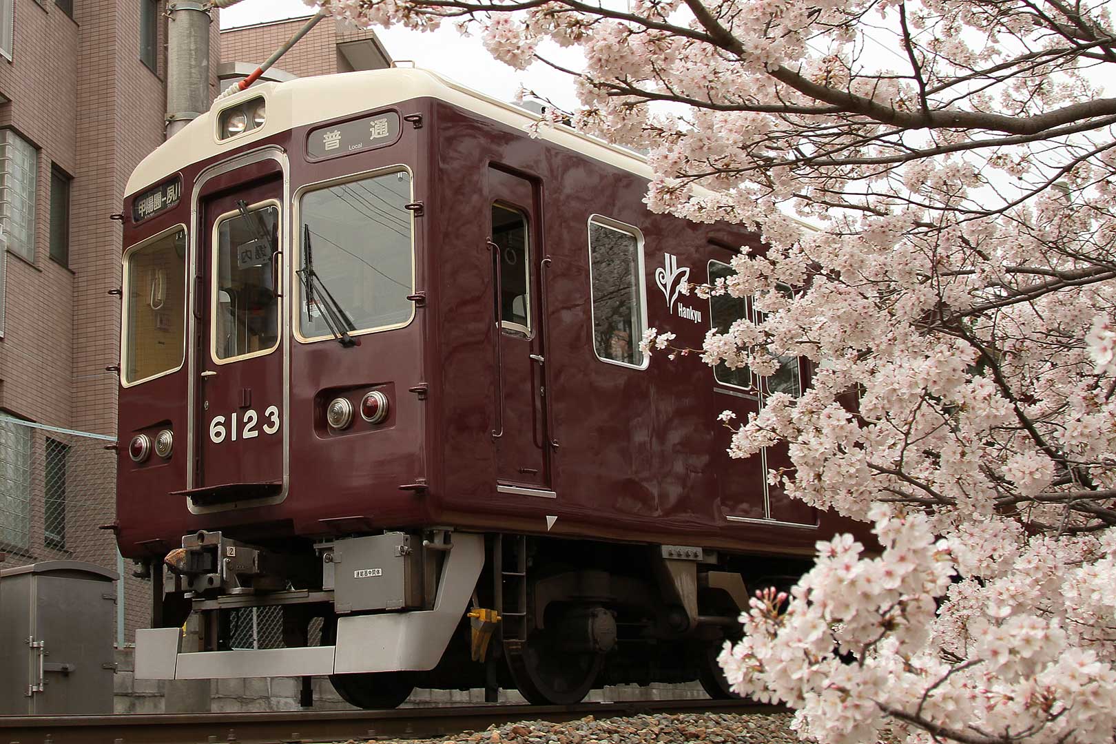 桜 （阪急 苦楽園口、ＪＲ大阪環状線 桜ノ宮）_a0003166_2305794.jpg