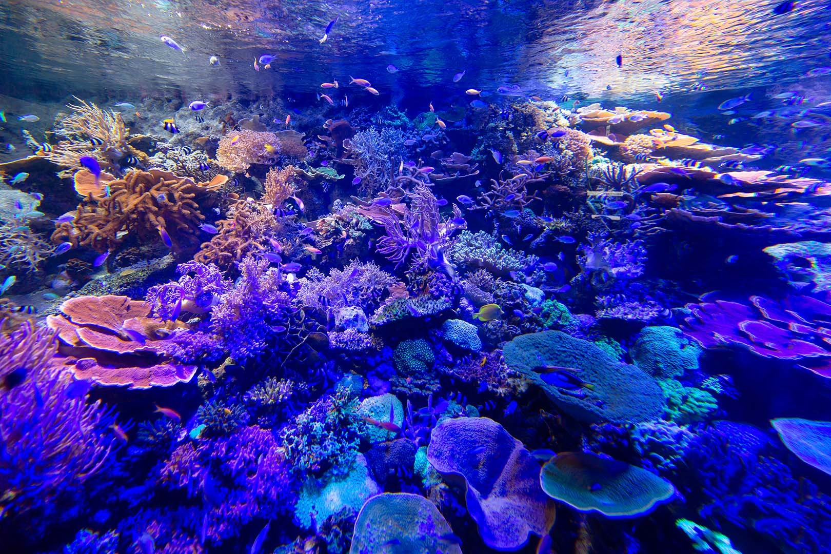 名古屋港水族館_a0003166_23061821.jpg