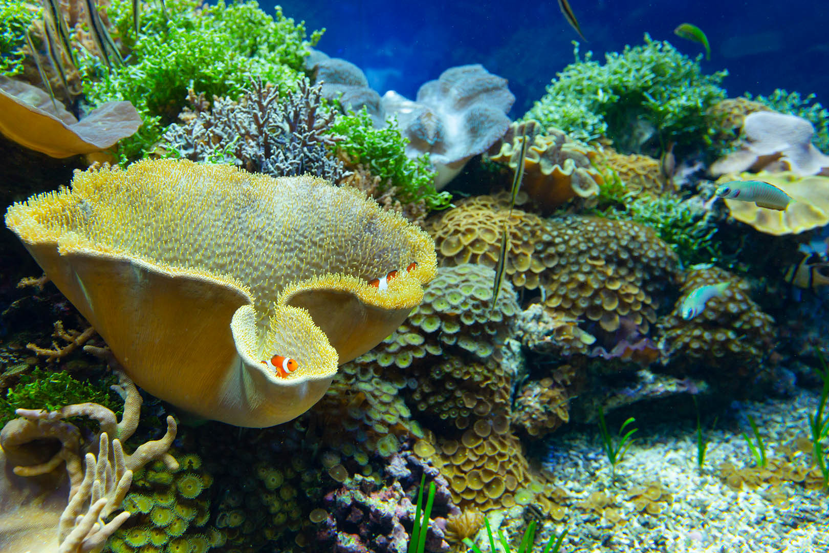 名古屋港水族館_a0003166_23061852.jpg