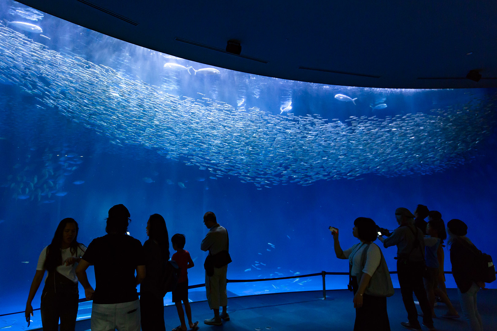 名古屋港水族館_a0003166_23065961.jpg
