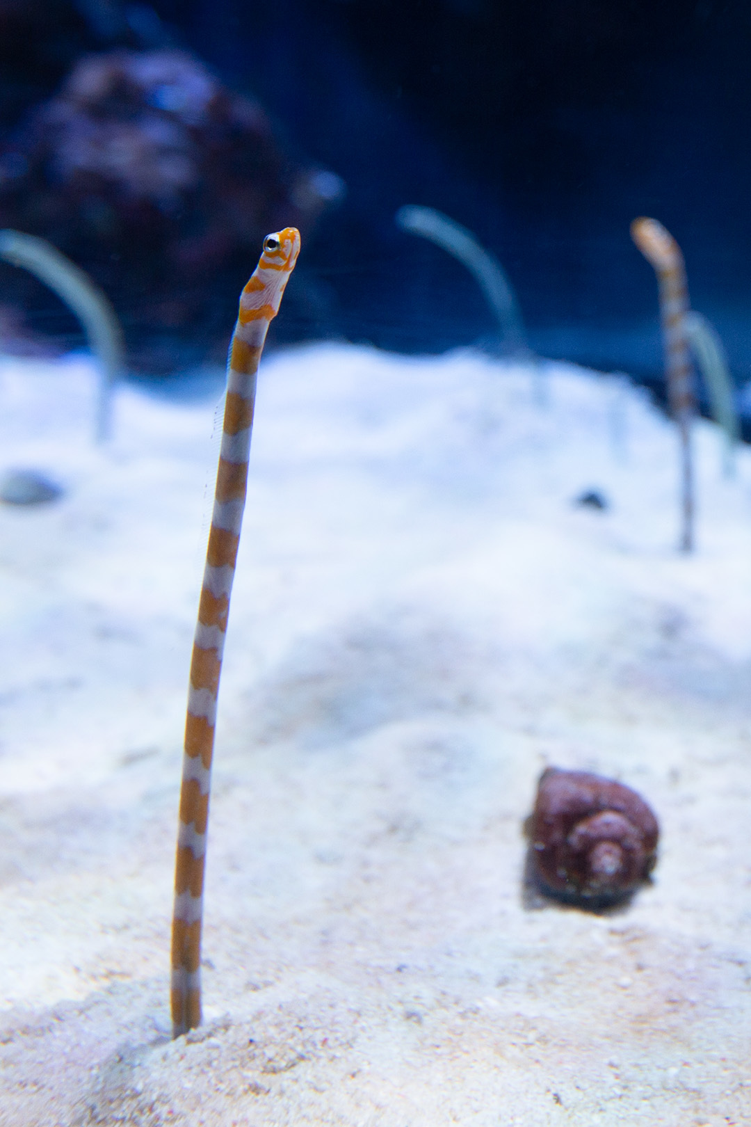名古屋港水族館_a0003166_23070084.jpg