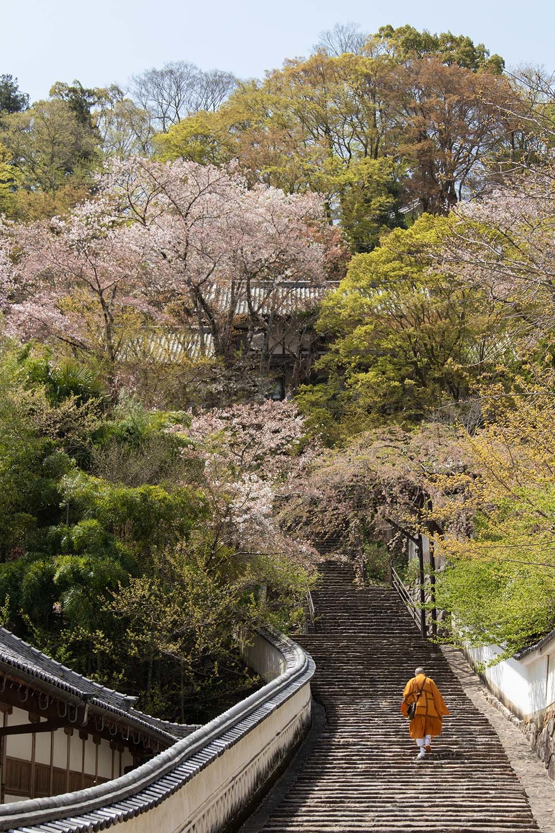 長谷寺_a0003166_23072171.jpg