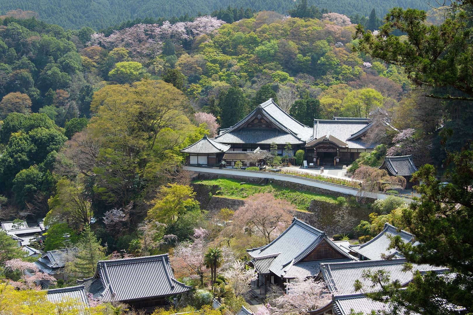 長谷寺_a0003166_23072408.jpg