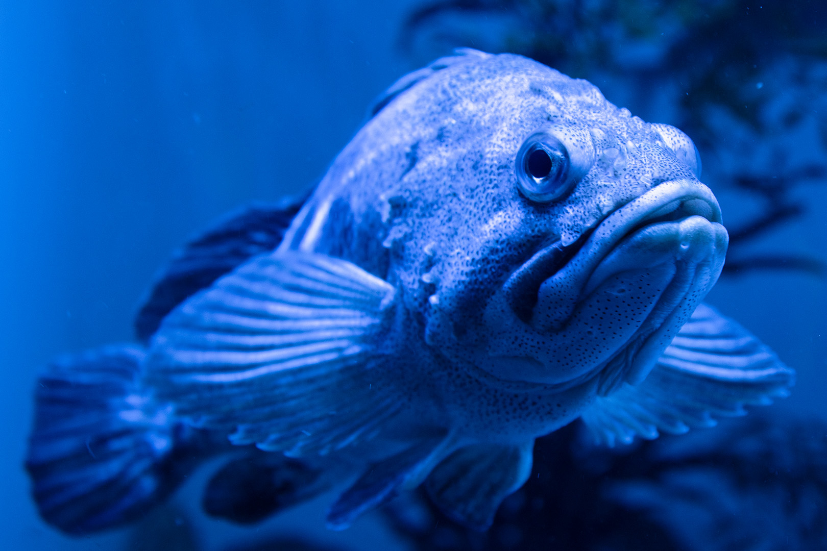 名古屋港水族館_a0003166_23073118.jpg