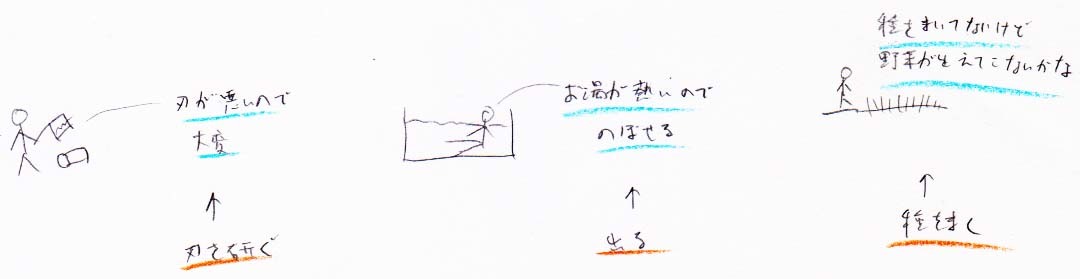 刃が悪くて切れない！お湯が熱くてのぼせる！種を植えてないけど野菜ができない！_a0003166_23075601.jpg
