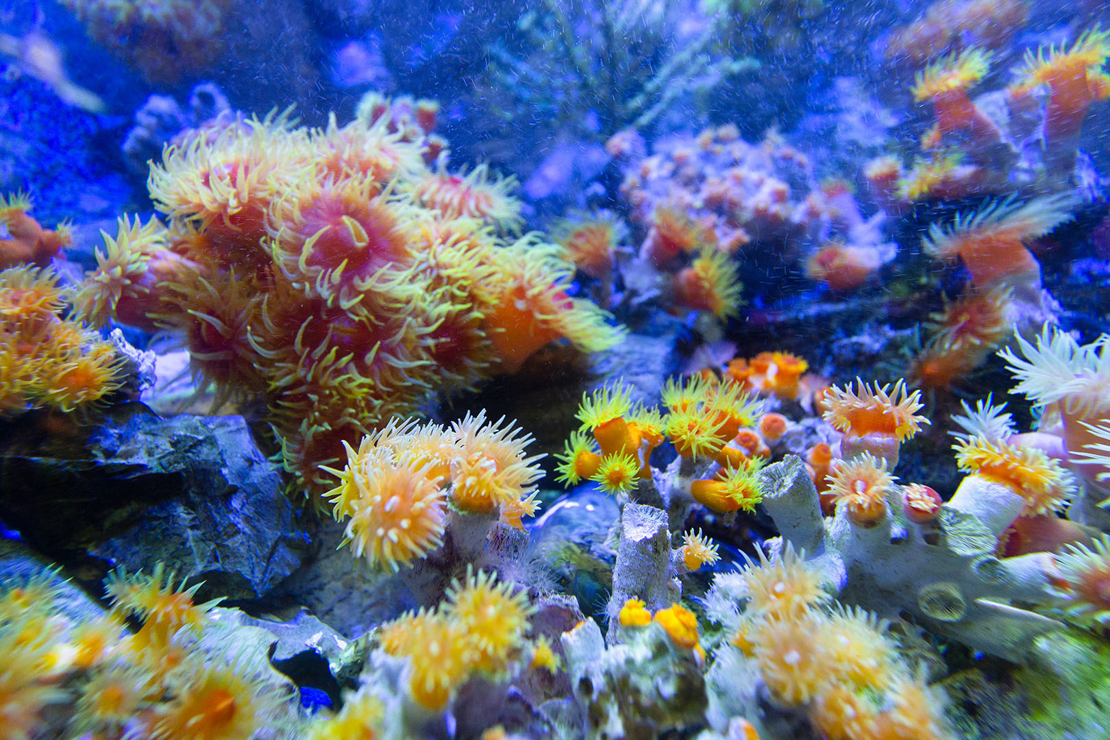 名古屋港水族館_a0003166_23081543.jpg