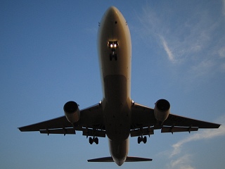真正面_a0003166_2310541.jpg