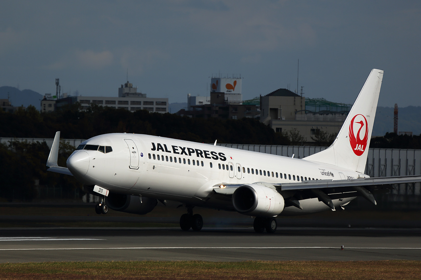 飛行機　晴れ間　（伊丹空港、伊丹スカイパーク）_a0003166_2311370.jpg