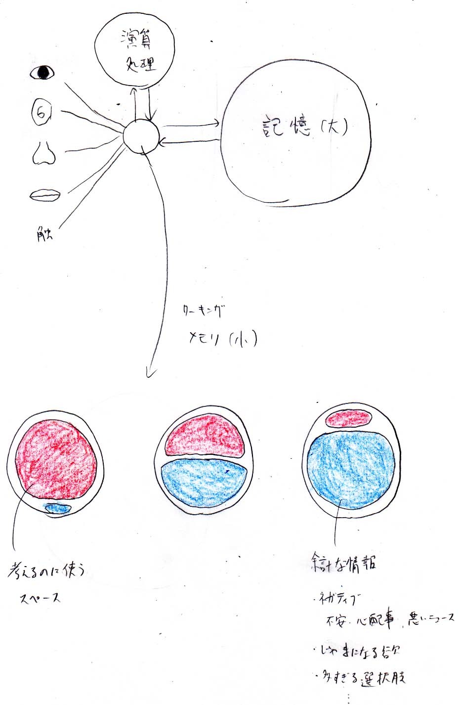 ワーキングメモリーを解放する_a0003166_23123561.jpg