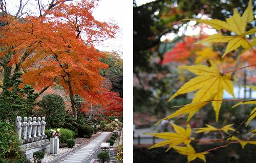 寺_a0003166_23123949.jpg