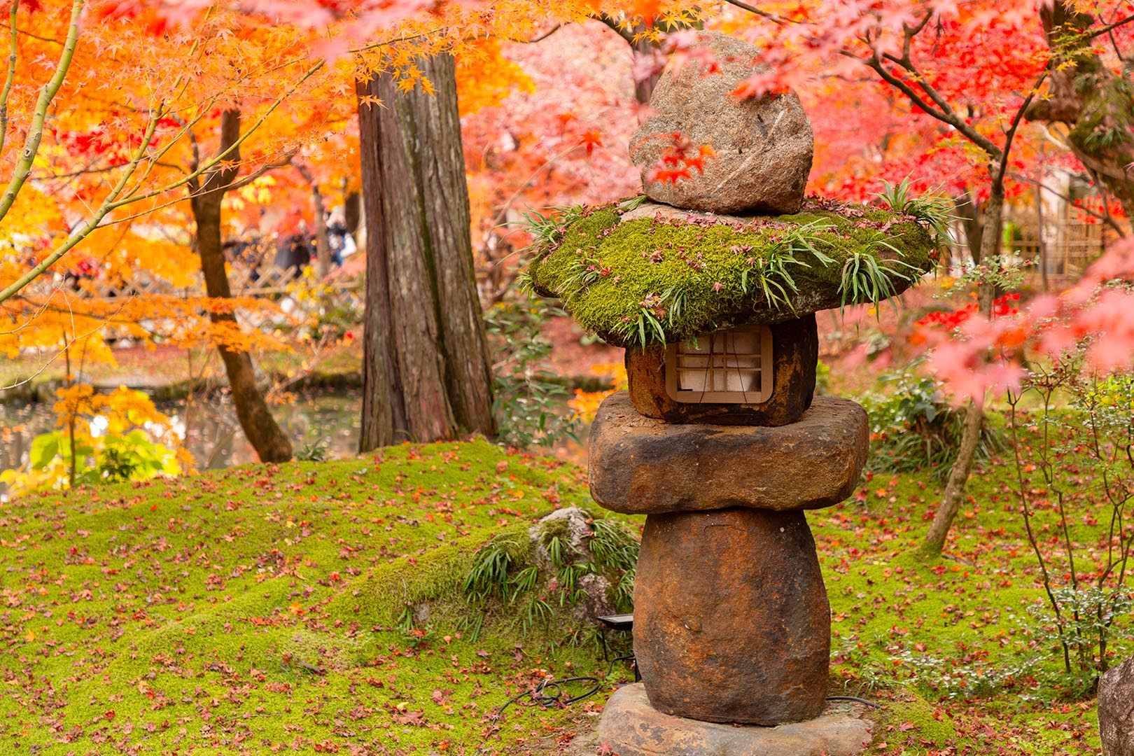 永観堂の紅葉_a0003166_23124020.jpg