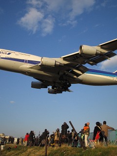 なし_a0003166_23131180.jpg