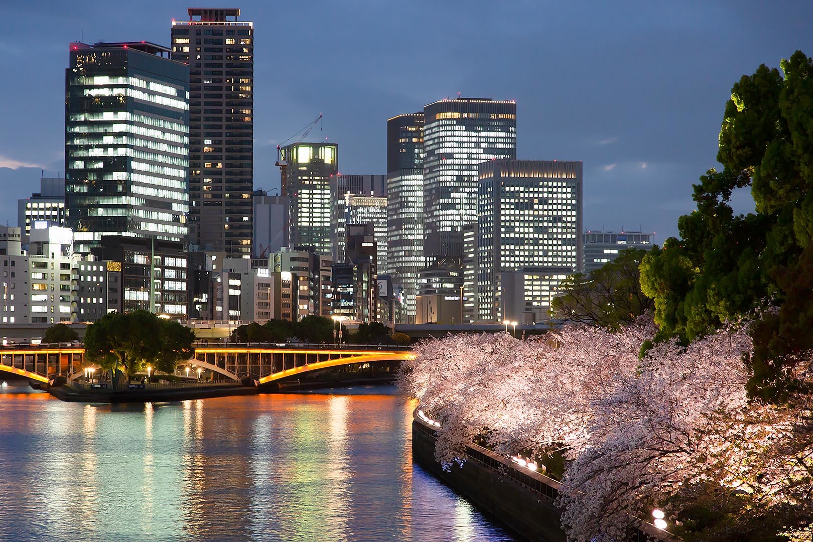 天満橋 桜_a0003166_23141592.jpg