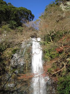 もみじ_a0003166_23142067.jpg