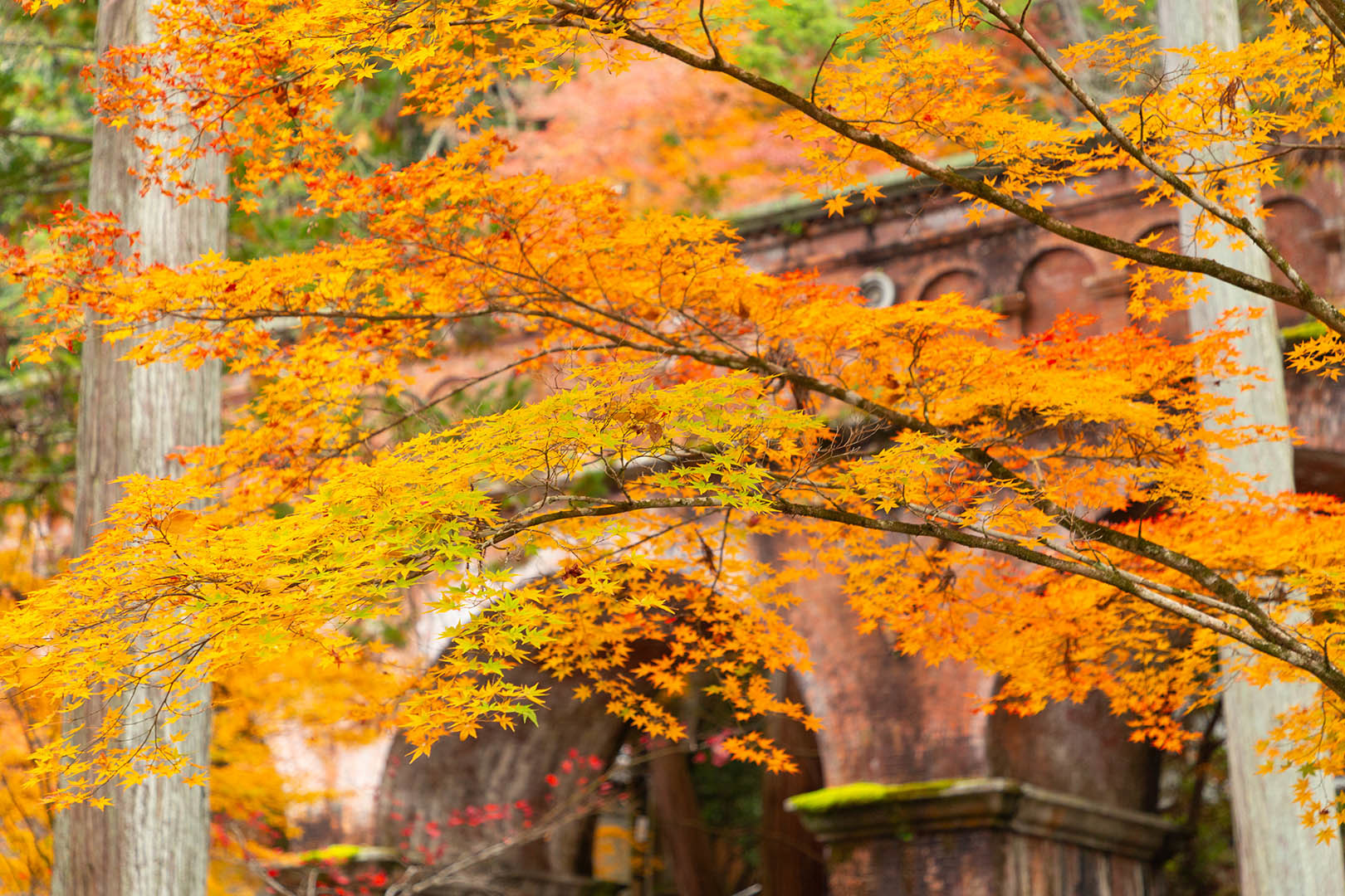 南禅寺の紅葉_a0003166_23142783.jpg