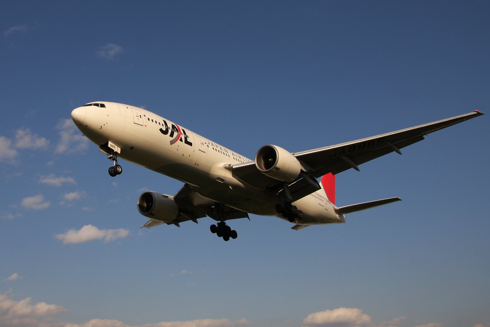 飛行機　（千里川）_a0003166_23151786.jpg