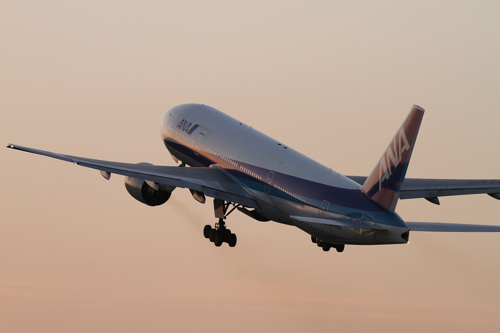 飛行機　（伊丹スカイパーク）_a0003166_2315493.jpg