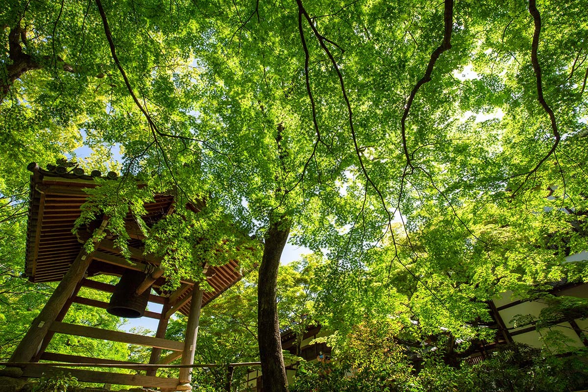 嵐山 常寂光寺_a0003166_23161752.jpg