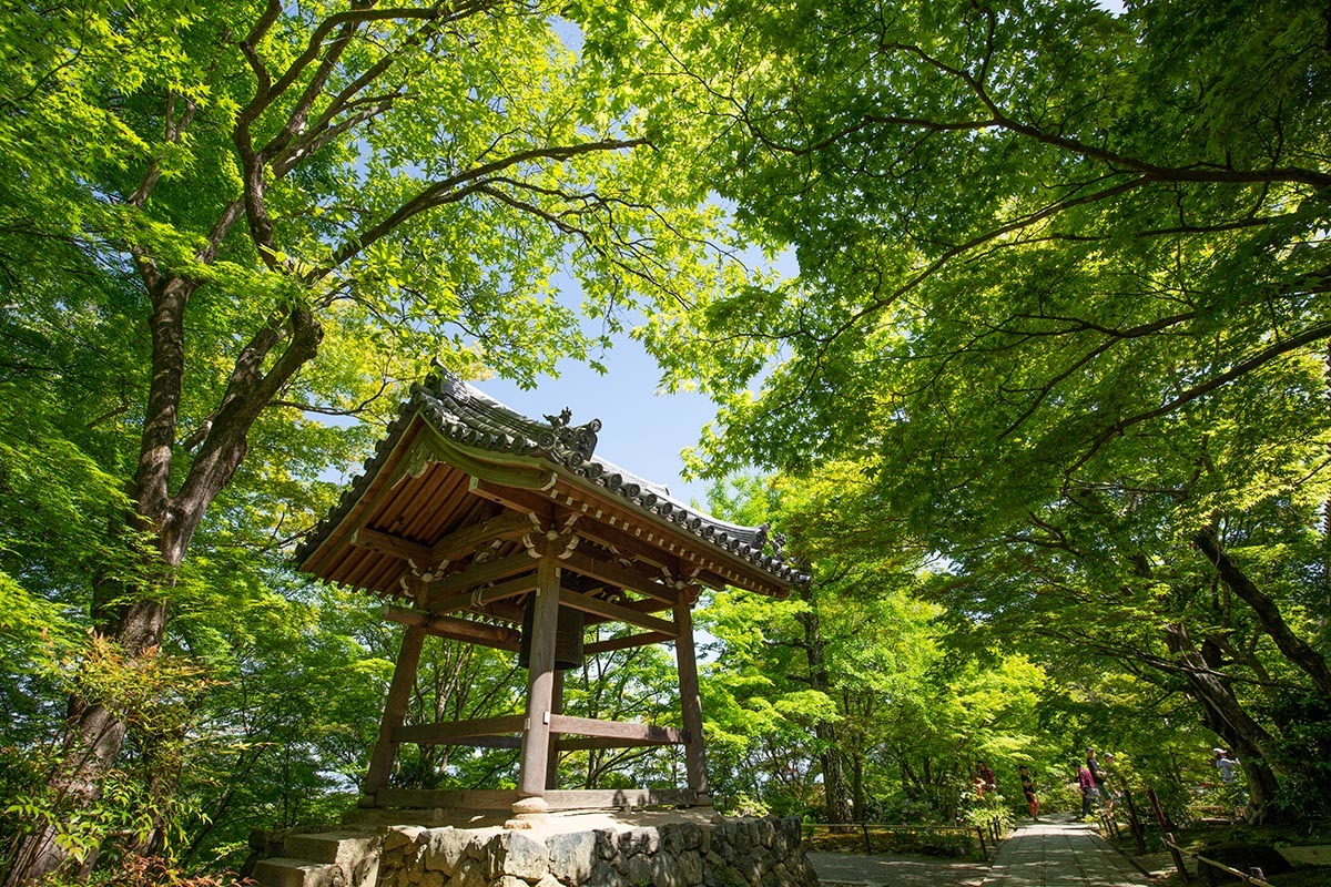 嵐山 常寂光寺_a0003166_23161768.jpg