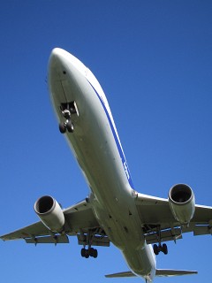 なし_a0003166_23163147.jpg