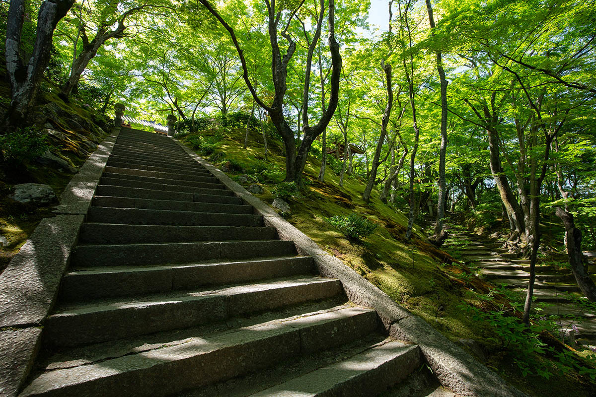 嵐山 常寂光寺_a0003166_23165095.jpg