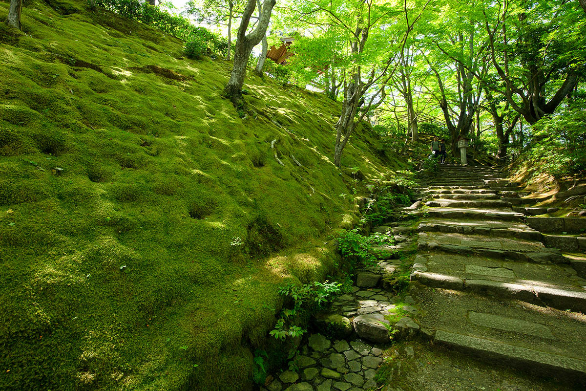 嵐山 常寂光寺_a0003166_23165183.jpg