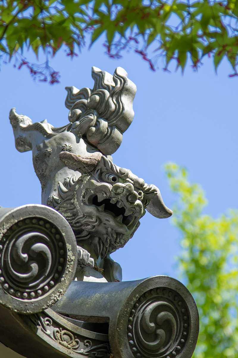 嵐山 常寂光寺_a0003166_23173439.jpg