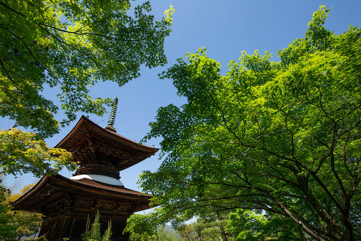嵐山 常寂光寺_a0003166_23173456.jpg