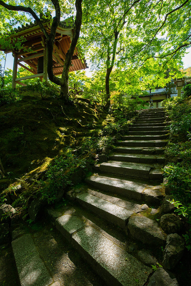 嵐山 常寂光寺_a0003166_23180772.jpg