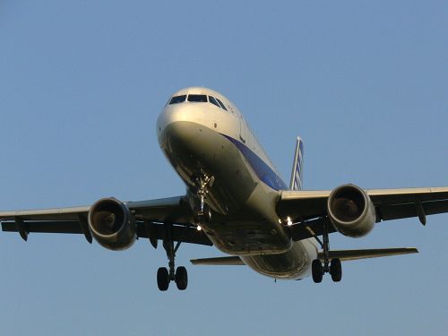 飛行機_a0003166_23183859.jpg