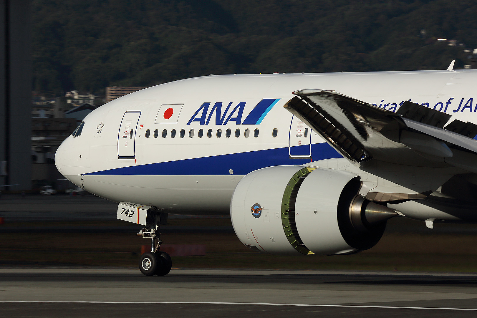 飛行機　晴れ間　（伊丹空港、伊丹スカイパーク）_a0003166_23195.jpg