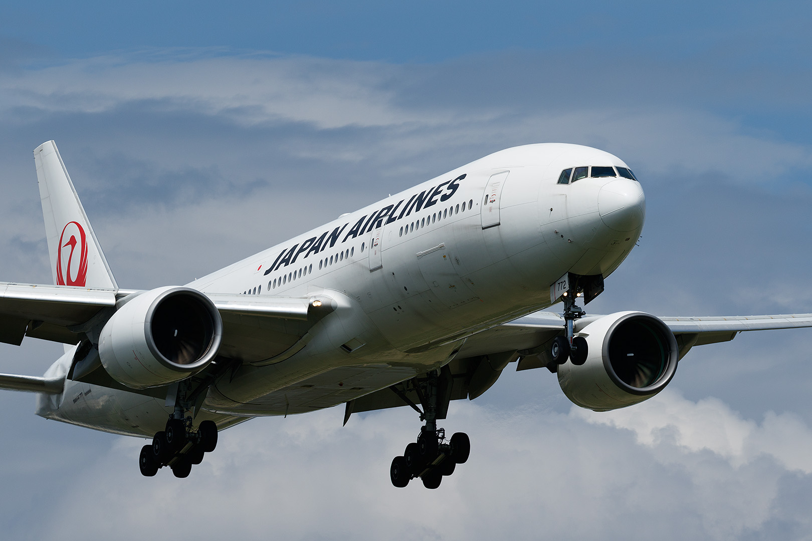伊丹空港　１４Ｒ着陸機　（猪名川土手）_a0003166_2319611.jpg