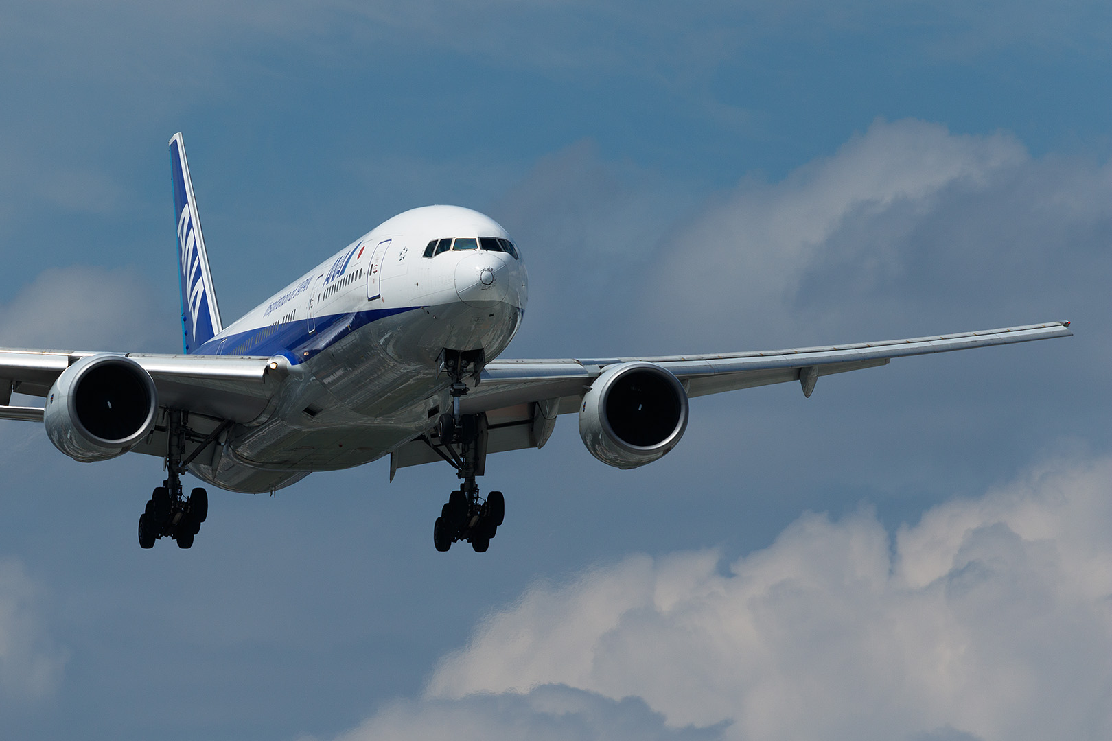 伊丹空港　１４Ｒ着陸機　（猪名川土手）_a0003166_2319658.jpg