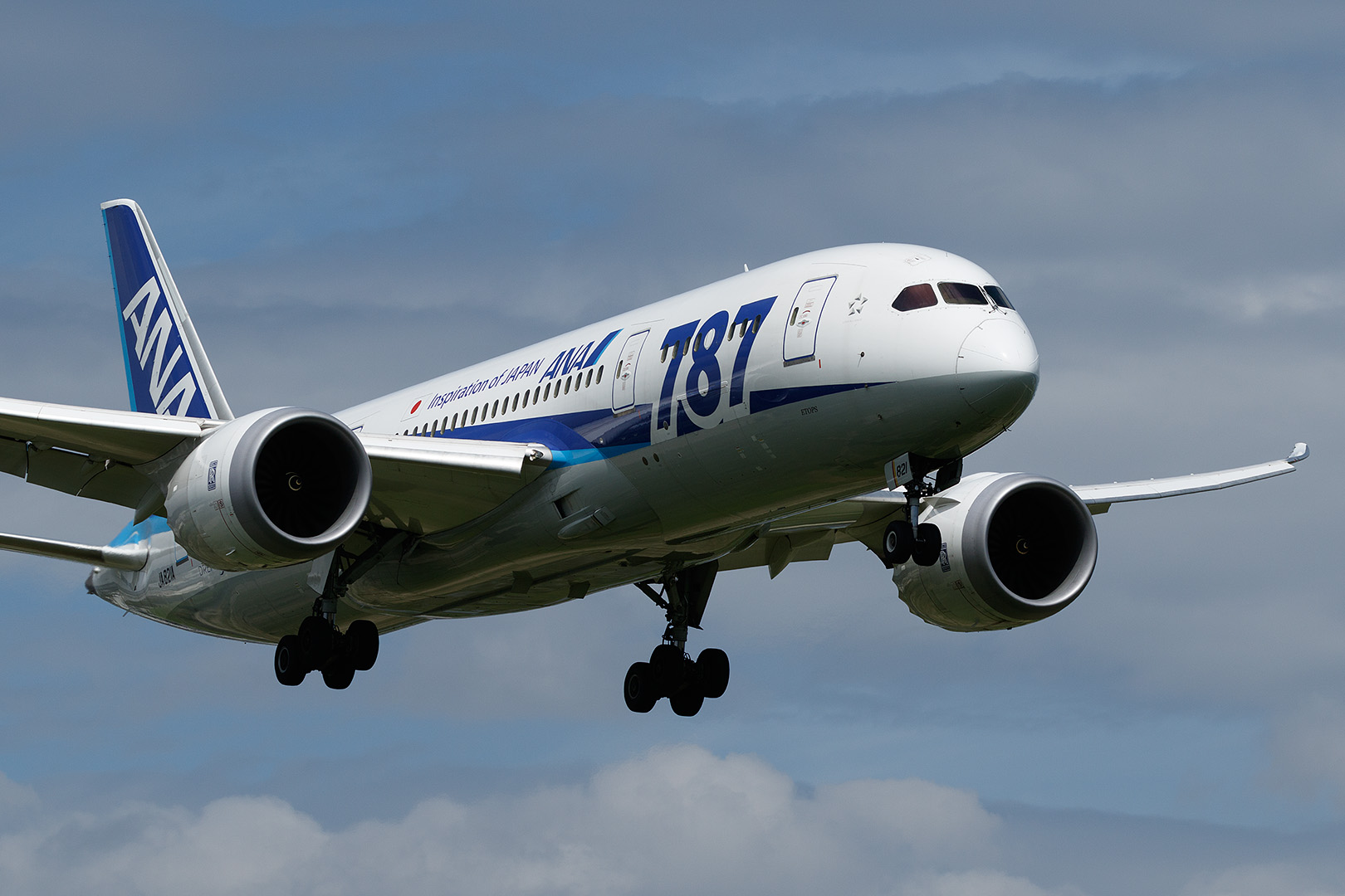 伊丹空港　１４Ｒ着陸機　（猪名川土手）_a0003166_231976.jpg