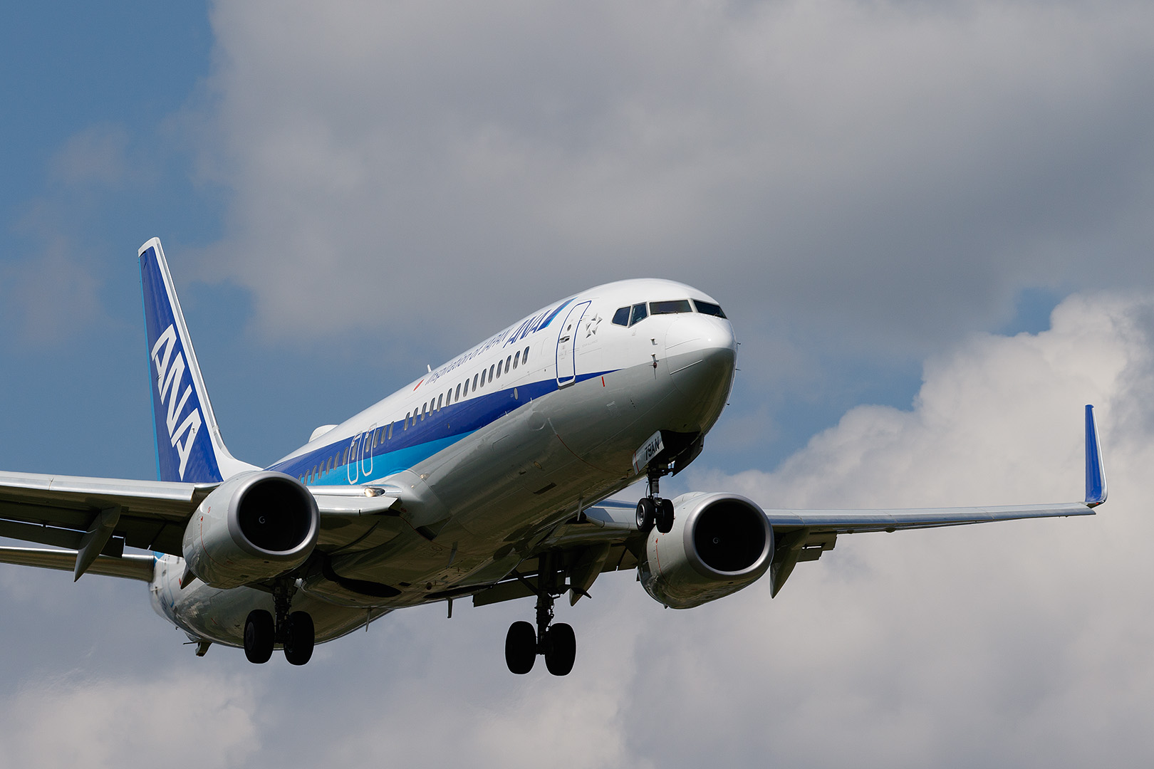 伊丹空港　１４Ｒ着陸機　（猪名川土手）_a0003166_2319865.jpg