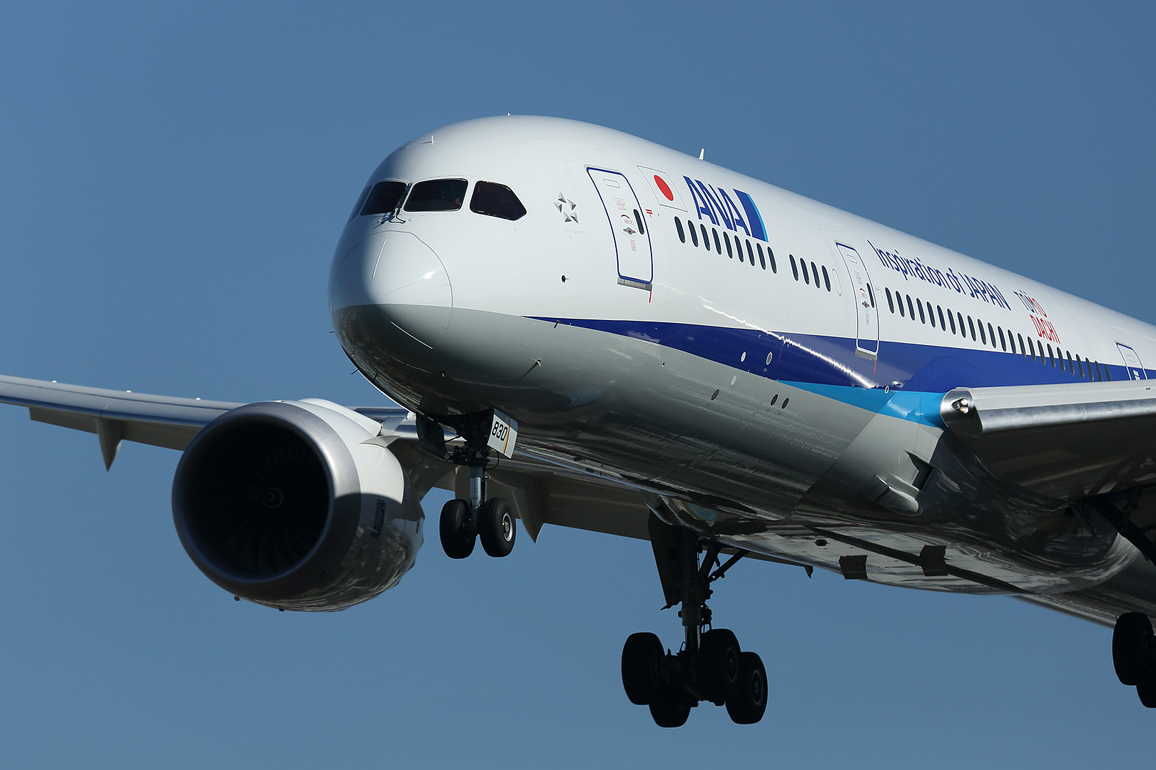 787-9 （伊丹空港）_a0003166_23202562.jpg