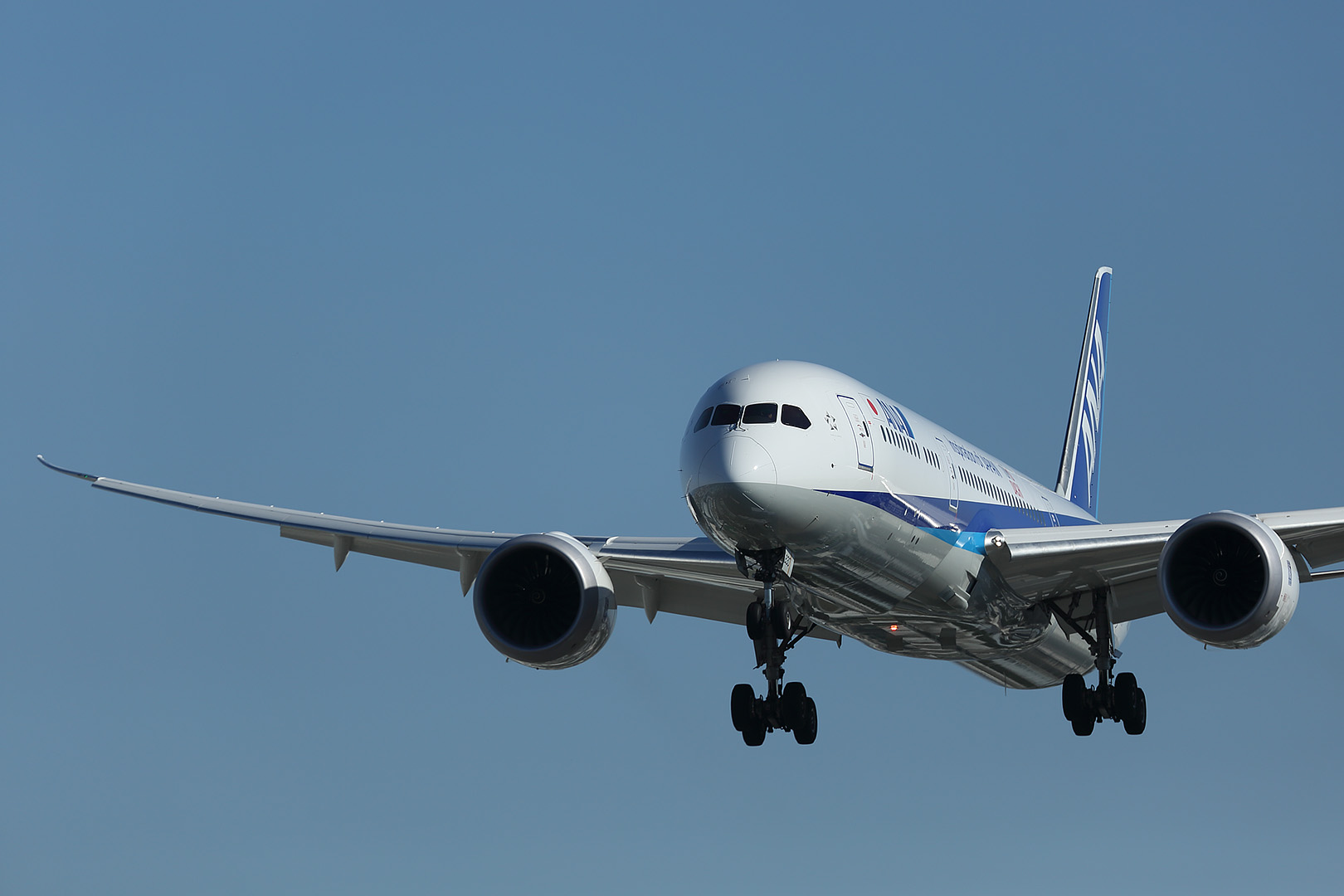 787-9 （伊丹空港）_a0003166_23202979.jpg