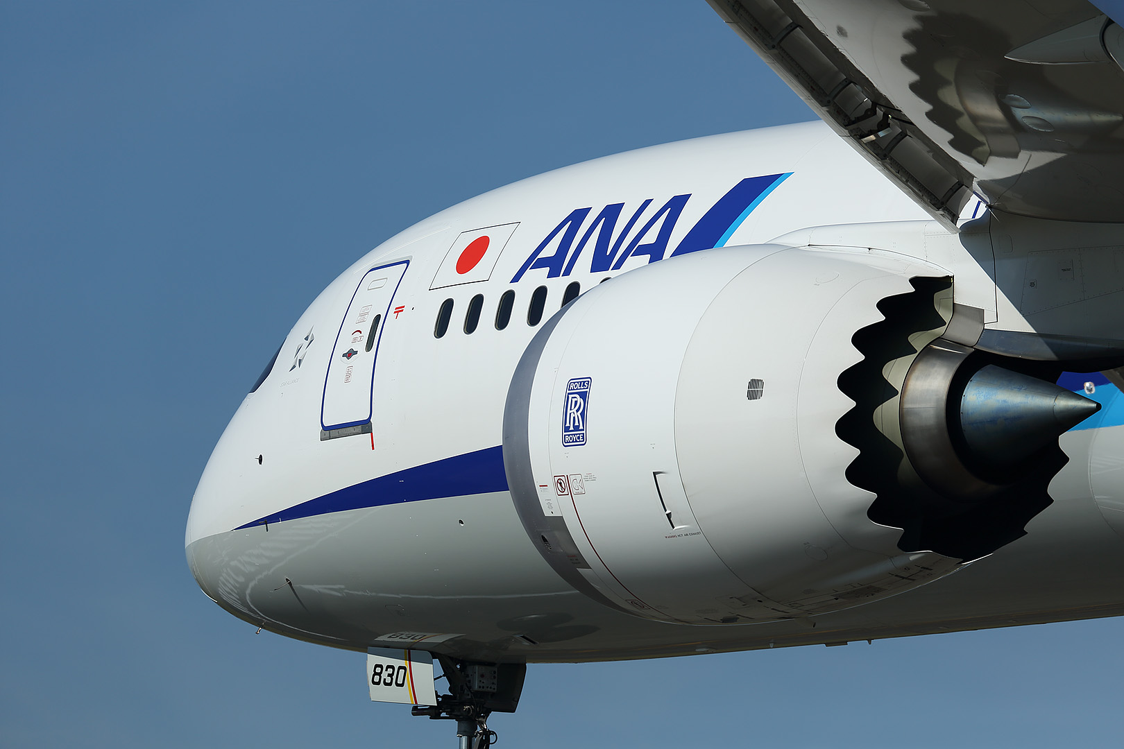 787-9 （伊丹空港）_a0003166_23203260.jpg