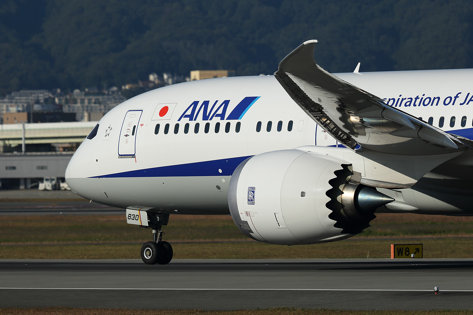 787-9 （伊丹空港）_a0003166_23203972.jpg