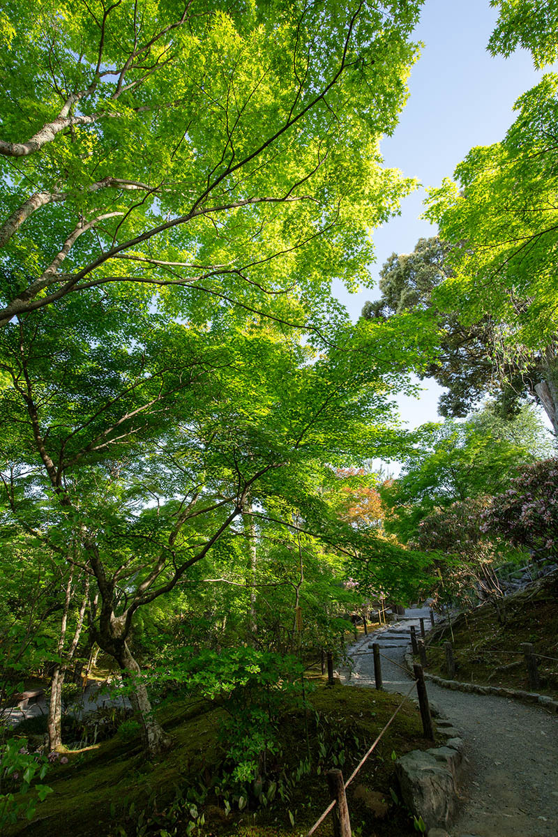 嵐山 天竜寺_a0003166_23211549.jpg