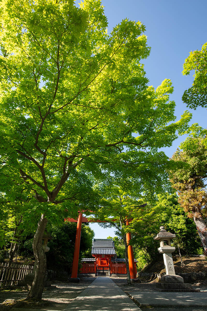 嵐山 天竜寺_a0003166_23211596.jpg