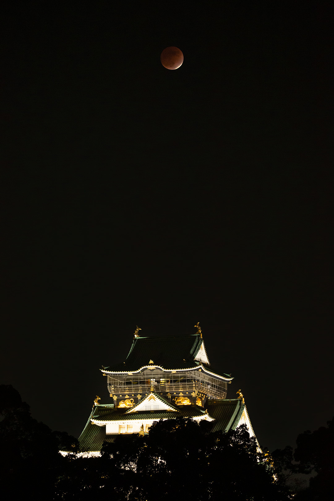 月食　大阪城_a0003166_23220711.jpg